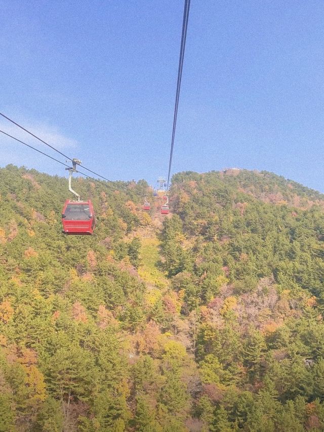 산과 바다를 모두 볼 수 있는 케이블카!