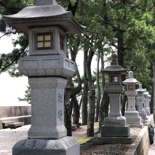 系島市櫻井二見浦👍🏻夫婦🎎岩海灘必去❤️偏門景點私心推介