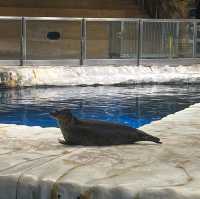 海洋公園：北極之旅