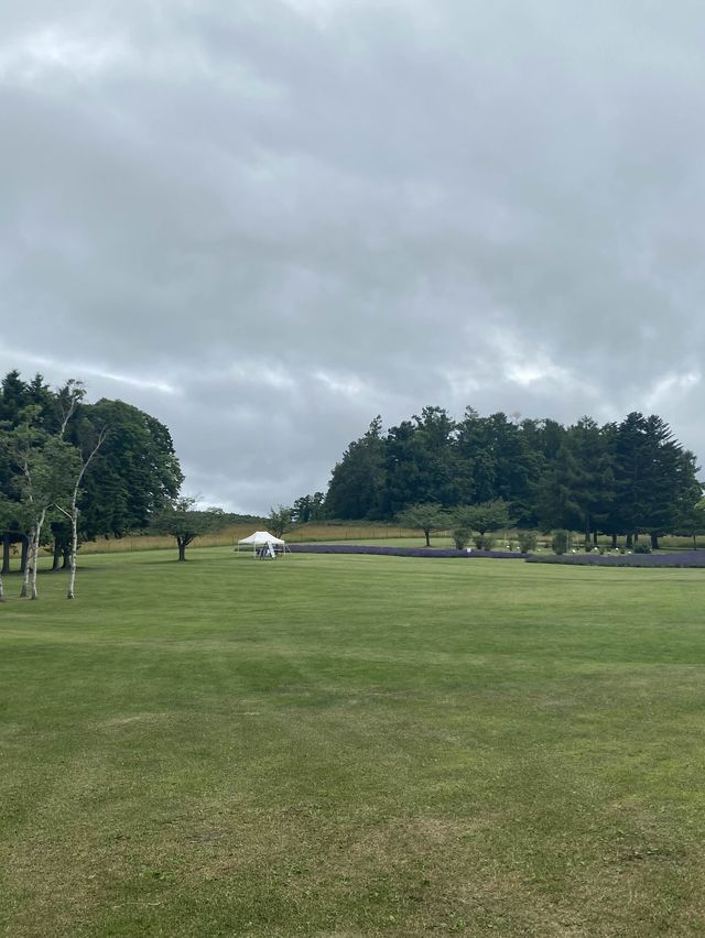 【北海道】札幌でラベンダー畑はここ！！