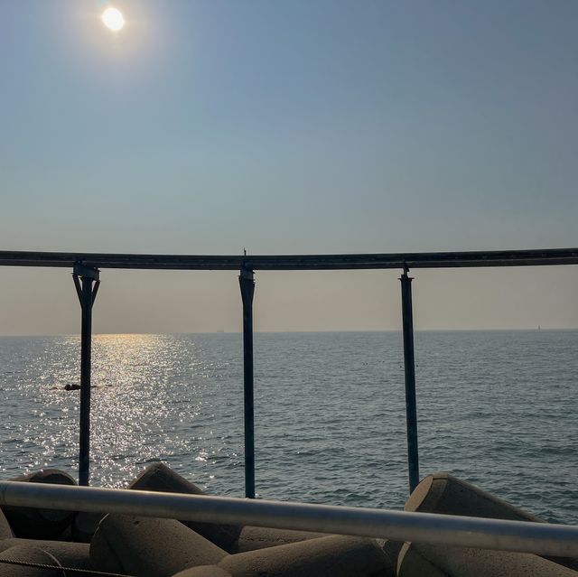 해질녘 윤슬이 특히 예쁜 충청도 대표 바다 🌊