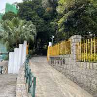 Montanha Russa Park Nature 