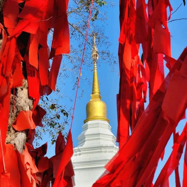 __พระธาตุหลวงชุมแพ____🌳__ขอนแก่น__🌳__