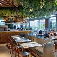 GLASSHOUSE GREENERY ！ 很棒！