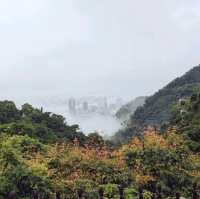 【神戸を山頂から一望】神戸布引ハーブ園