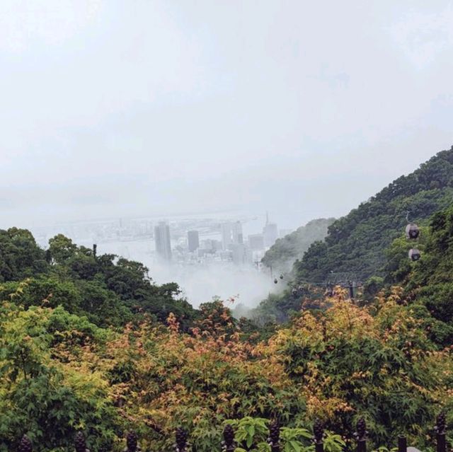 【神戸を山頂から一望】神戸布引ハーブ園