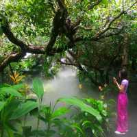 คาเฟ่หลงป่า จ.อุดรธานี