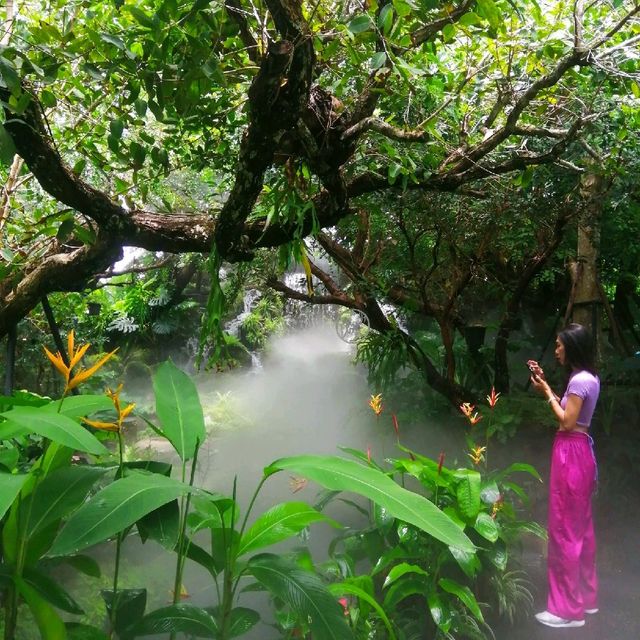 คาเฟ่หลงป่า จ.อุดรธานี