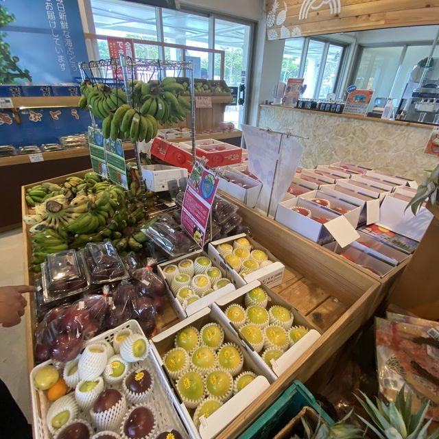 沖縄今帰仁「古宇利島の駅ソラハシ」新鮮な沖縄県産フルーツやカフェ、フードコート、土産が揃うおすすめ南国の道の駅