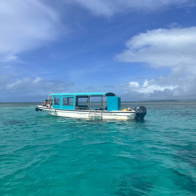 【石垣島】石垣島に行ったら楽しみたいダイビング