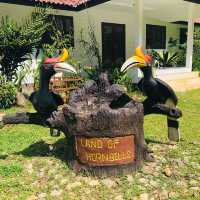 นำ้ตกสิรินธร@เขตรักษาพันธุ์สัตว์ป่าฮาลา-บาลา 