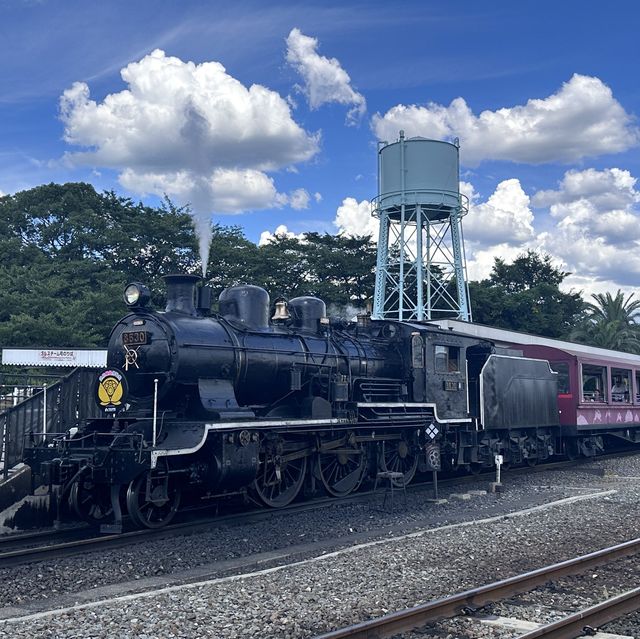train loads of fun for the family 