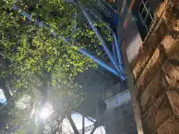 Multiple angles of Harbour bridge