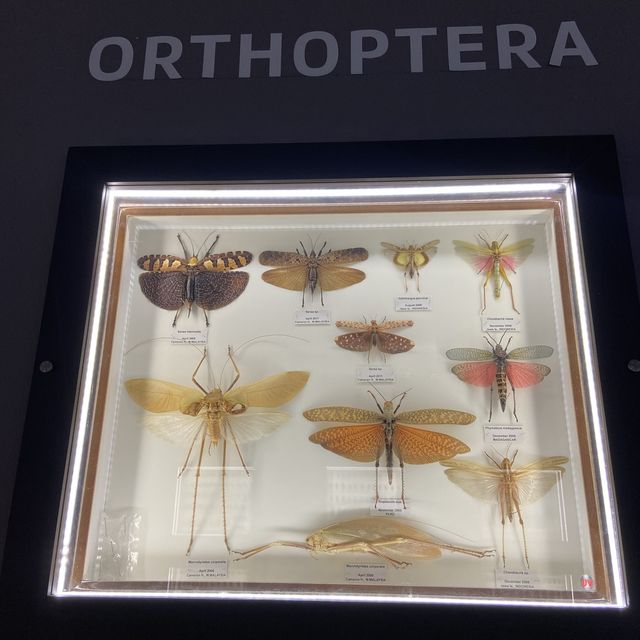 Entopia: Nature's Captivating Haven
