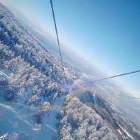 雪質抜群のパウダースノーを堪能できる蔵王温泉スキー場