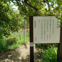 愛知旅行！桶狭間の戦いゆかりの地「弁天池」