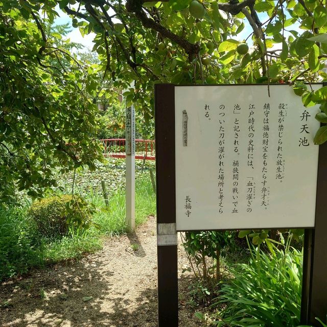 愛知旅行！桶狭間の戦いゆかりの地「弁天池」