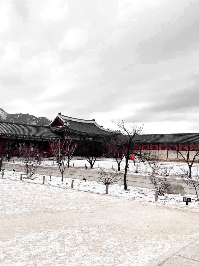 韓國必去活動景點景福宫🏯