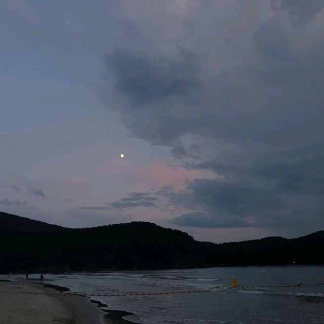 부산 을숙도 둘러보기
