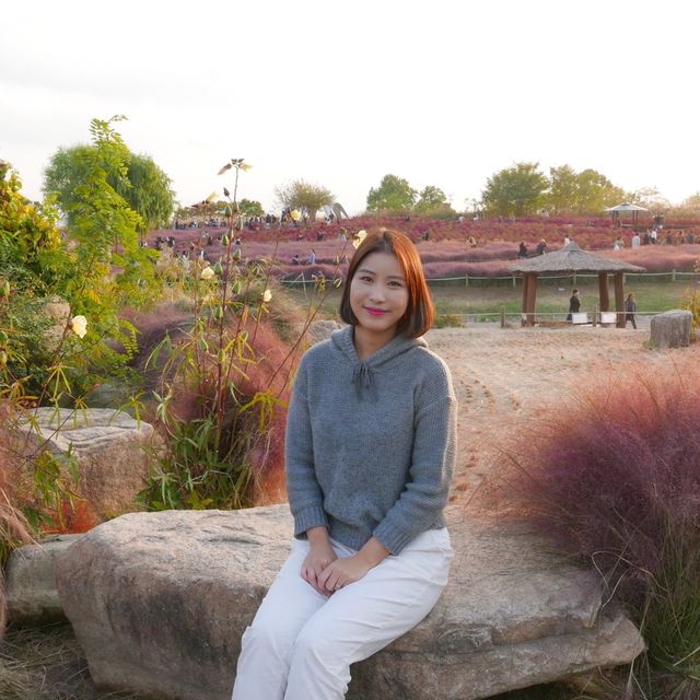 매년 10월 상암 하늘공원에서 볼 수 있는 억새축제🌾🌾