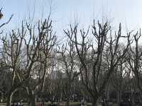 Fuxing Park