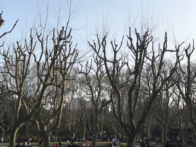Fuxing Park