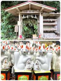 【神奈川県/佐助稲荷神社】かくれ里の稲荷
