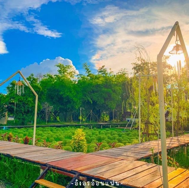 เที่ยวขอนแก่นแบบโอบล้อมด้วยธรรมชาติ‼️