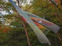 嵐山 祐齋亭 賞楓名所 打卡熱點