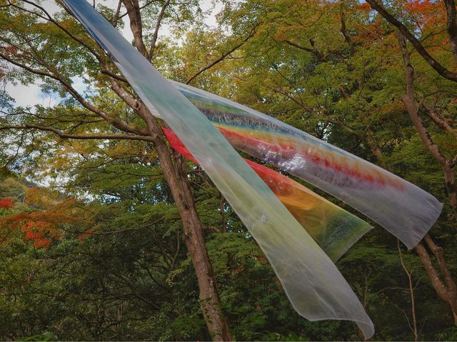 嵐山 祐齋亭 賞楓名所 打卡熱點