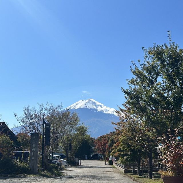 Fuji-san in falling season