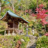 Zensui-ji: Miracles on Mount Iwane