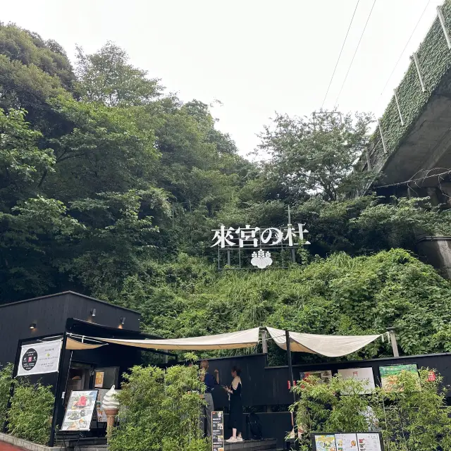 パワースポットの来宮神社