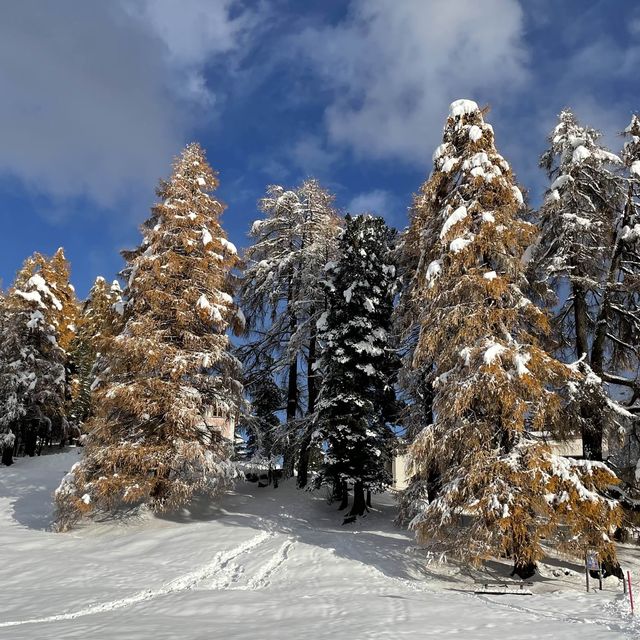 Winter Bliss at Lake St. Moritz