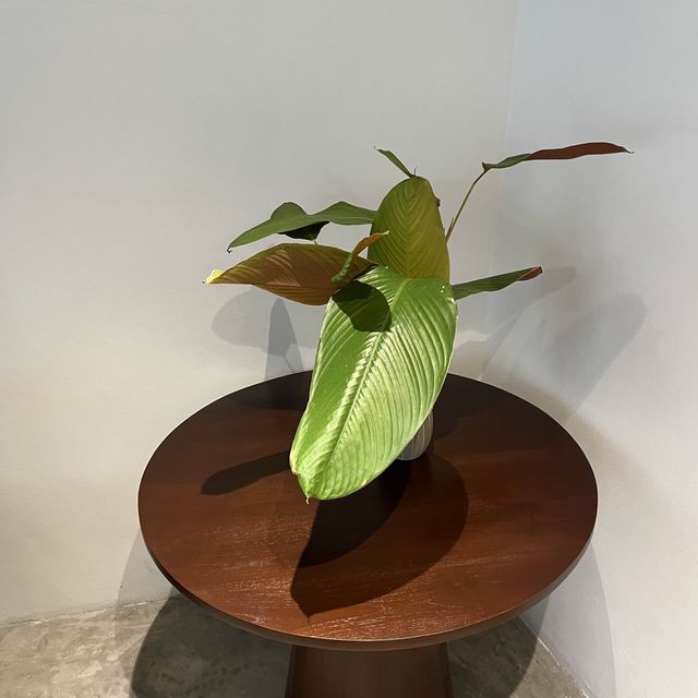 Nidhra Bangkok 