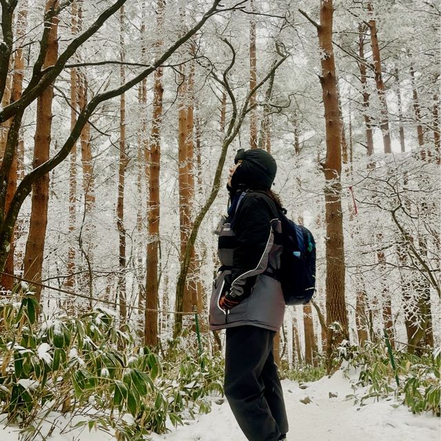 제주 🗻한라산🗻관음사(삼각봉) 등산(왕복6시간)