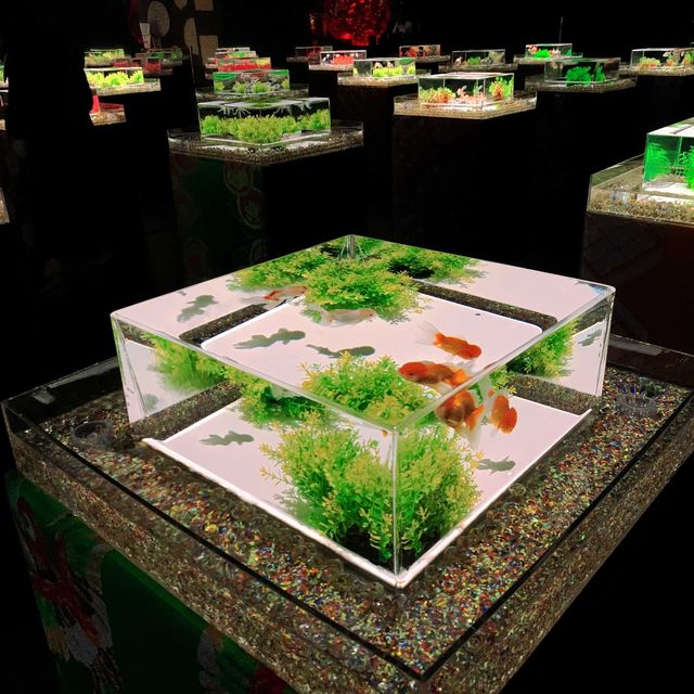 百華繚乱