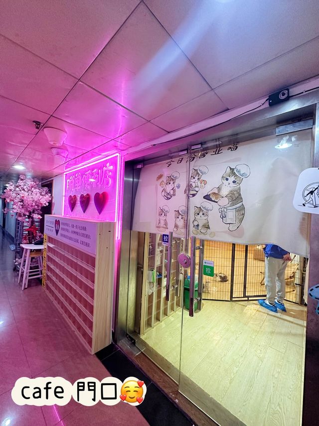 ⭐️貓貓Cafe竟然有豬仲有狗？🐱🐷🐶