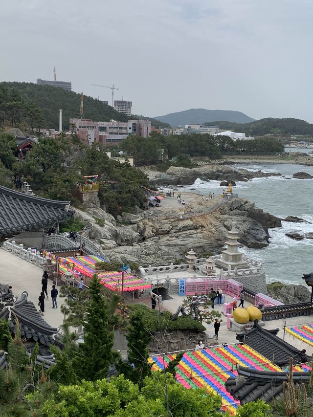 부산 기장 바다 옆에 있는 멋진뷰의 사찰🏮 [부산_해동용궁사]