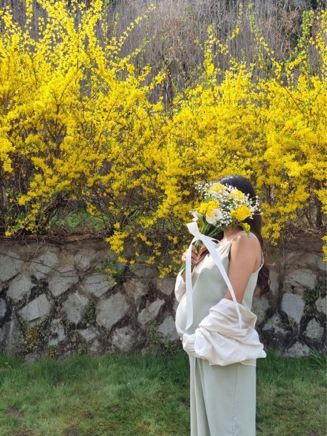 봄꽃놀이는 용산가족공원에서💫💛🌸