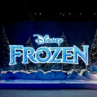 สัมผัสประสบการณ์สุดคูลในดินแดน Frozen ❄️
