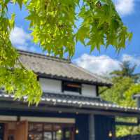 福岡・糸島の食材をおしゃれな古民家カフェで‼️