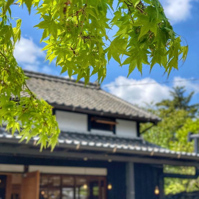 福岡・糸島の食材をおしゃれな古民家カフェで‼️