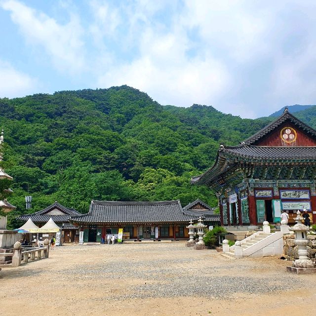 양평 용문사, 1100년 은행나무의 위엄에 놀라다