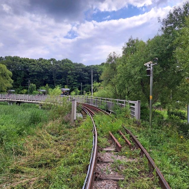 韓國景點😍義王鐵道自行車☺️40分鐘邊踩單車邊睇靚風景📸
