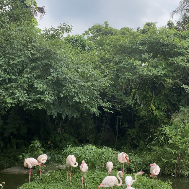 สวนสัตว์ไทเป Taipei Zoo 💖🤏🏻