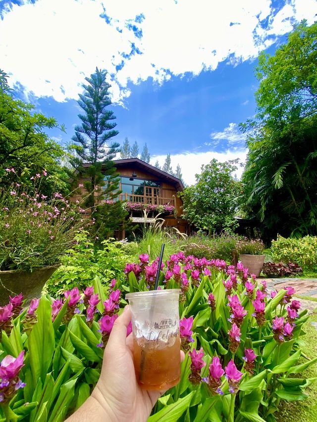 คาเฟ่กลางสวนดอกไม้ Lifehouse Cafe ฉะเชิงเทรา