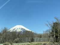 Fuji Safari Park- 孩子的夢寐以求動物園
