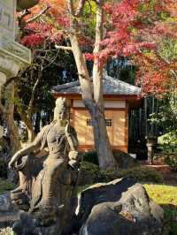 【東京都/小川寺】小平で美しい庭園が見られる寺院