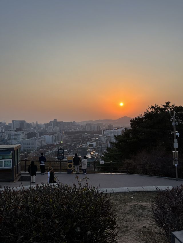 서울 대학로 근처의 낙산공원 나들이! 산책하고 노을구경하기 ✨